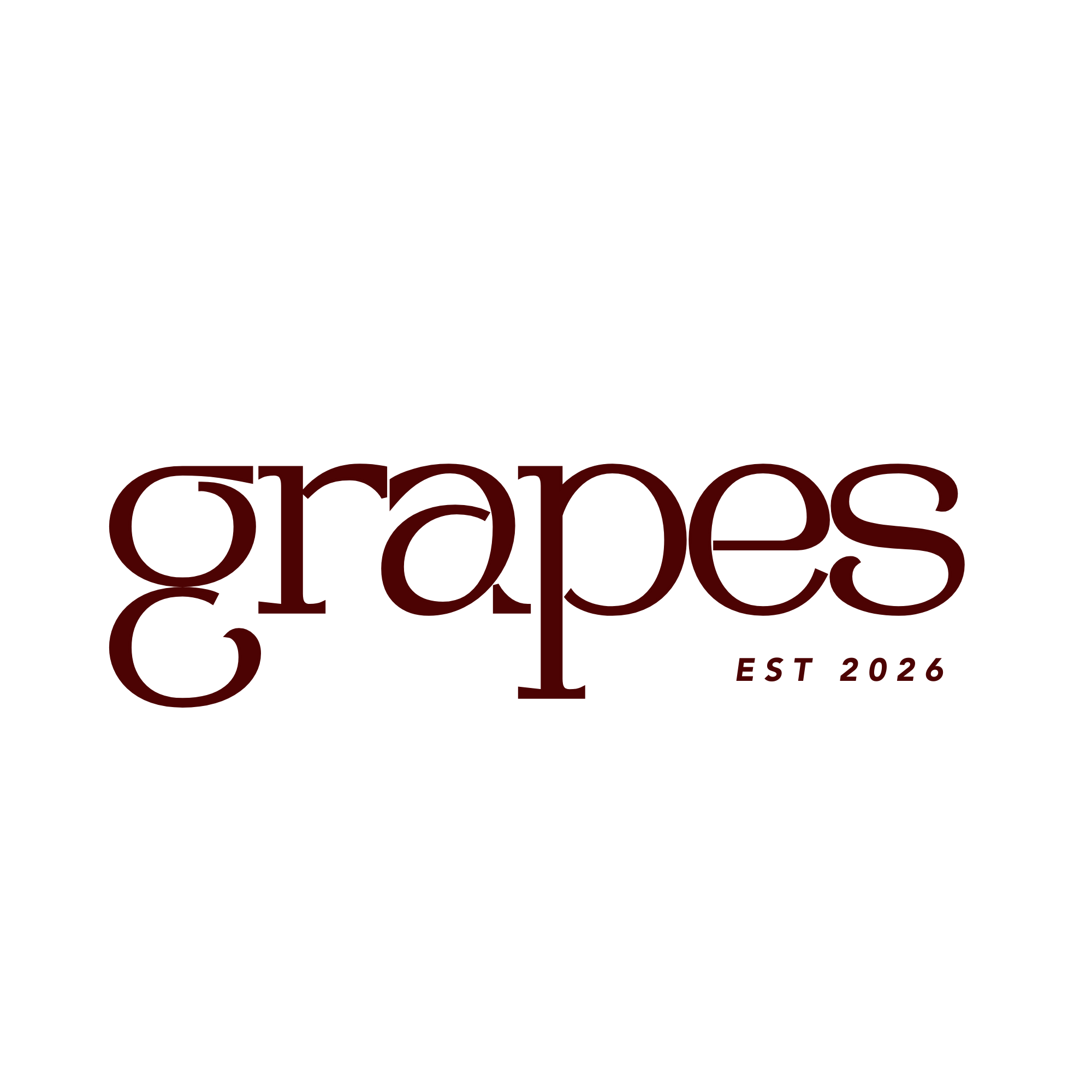 NOIR & VINE — grapes wine bar logo